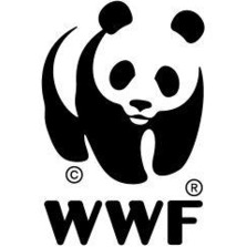 Cropped logo